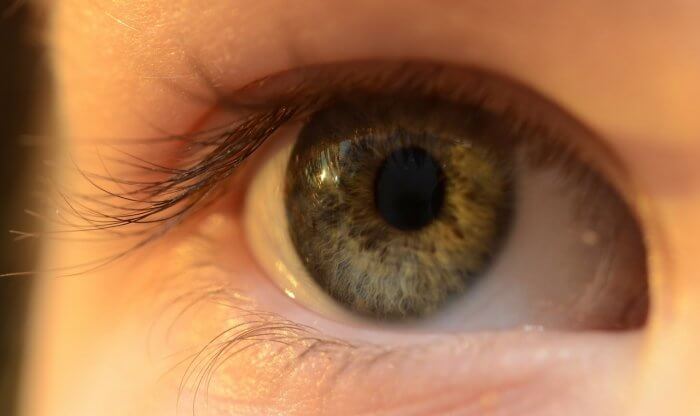 lens eye