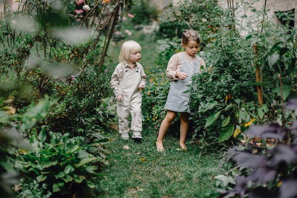 Green Garden